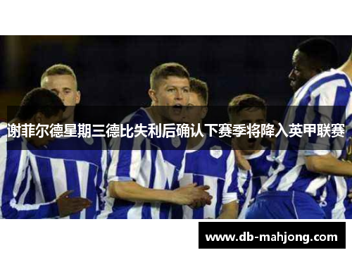 谢菲尔德星期三德比失利后确认下赛季将降入英甲联赛 谢菲尔德星期三德比失利后确认下赛季将降入英甲联赛